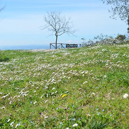 Casa Franceschini Villa Poggio Mirteto Екстериор снимка